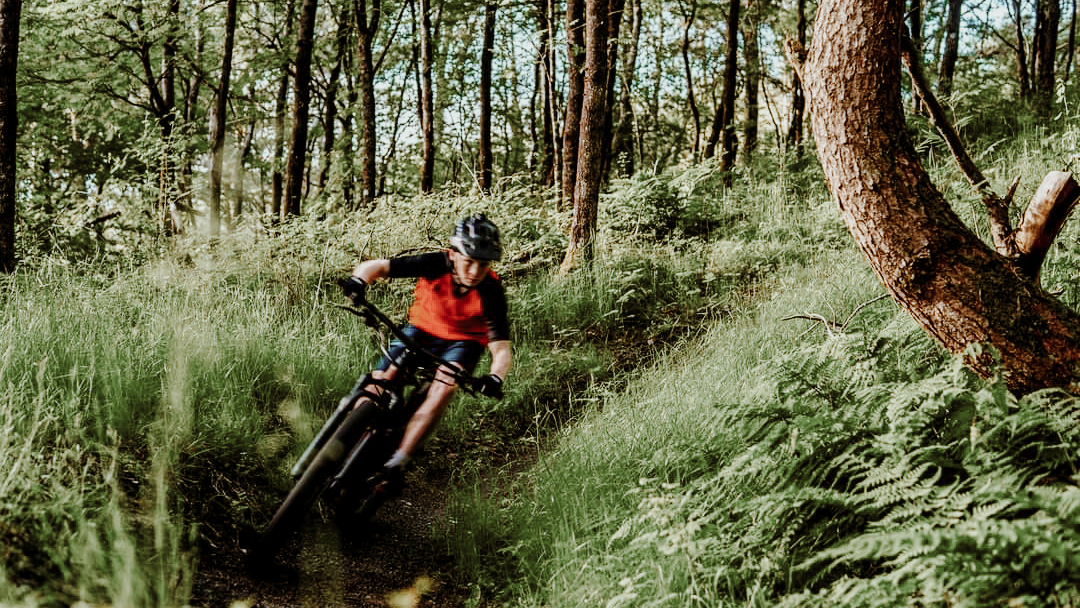 Lomsesanden sykkel.jpg