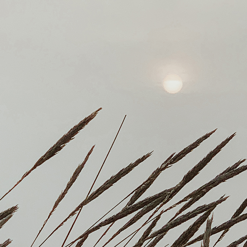 Lomsesanden Familiecamping9.jpg